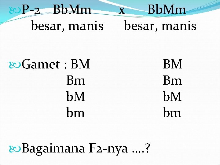  P-2 Bb. Mm besar, manis x Bb. Mm besar, manis Gamet : BM