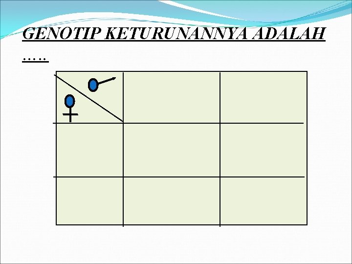 GENOTIP KETURUNANNYA ADALAH …. . 