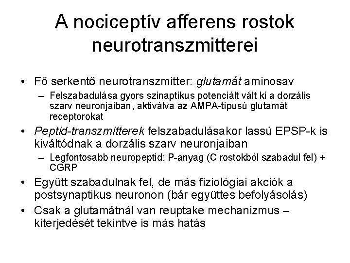 A nociceptív afferens rostok neurotranszmitterei • Fő serkentő neurotranszmitter: glutamát aminosav – Felszabadulása gyors