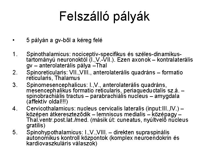 Felszálló pályák • 5 pályán a gv-ből a kéreg felé 1. Spinothalamicus: nociceptív-specifikus és