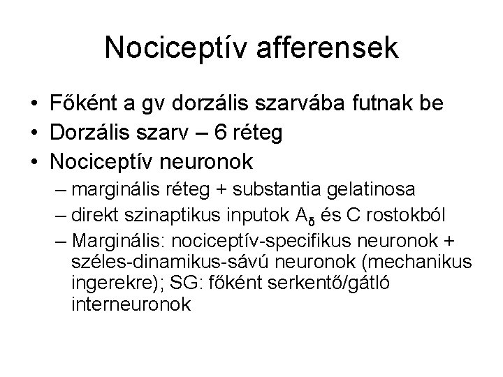 Nociceptív afferensek • Főként a gv dorzális szarvába futnak be • Dorzális szarv –