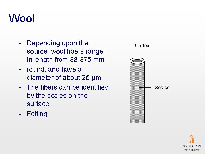 Wool Depending upon the source, wool fibers range in length from 38 -375 mm