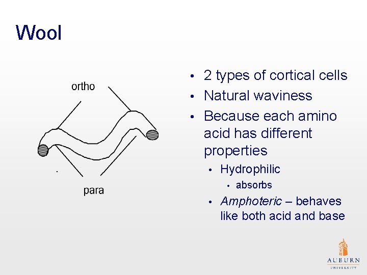 Wool 2 types of cortical cells • Natural waviness • Because each amino acid
