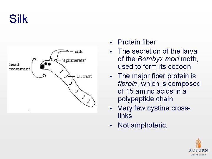 Silk • • • Protein fiber The secretion of the larva of the Bombyx