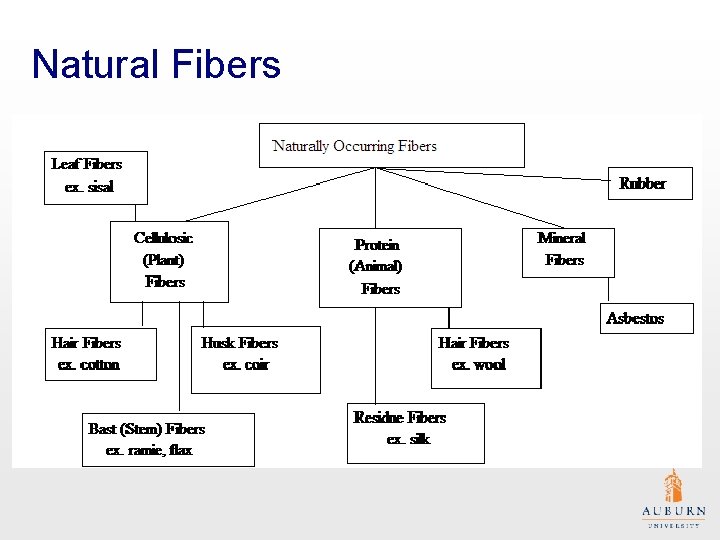 Natural Fibers 