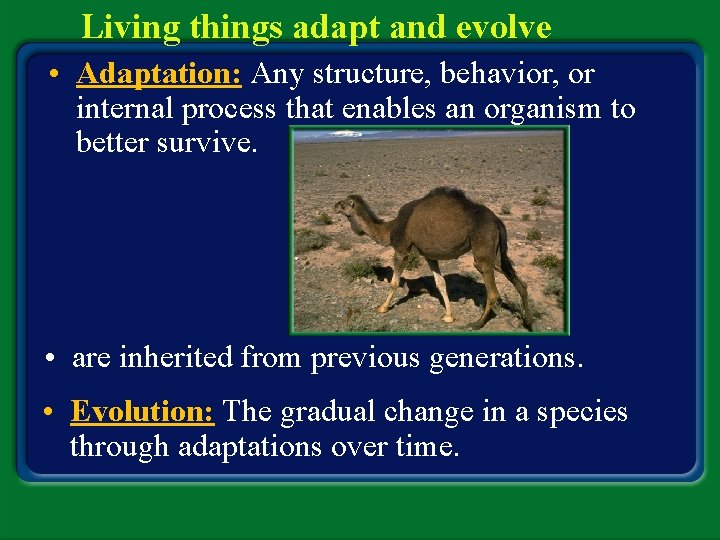 Living things adapt and evolve • Adaptation: Any structure, behavior, or internal process that