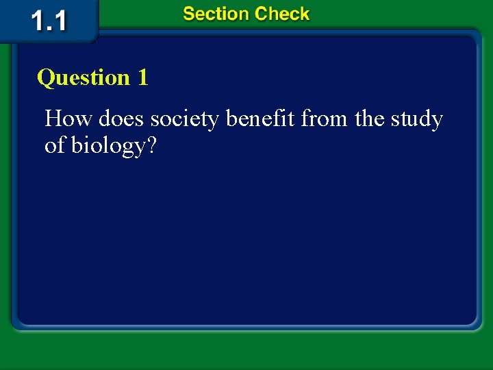 Question 1 How does society benefit from the study of biology? 