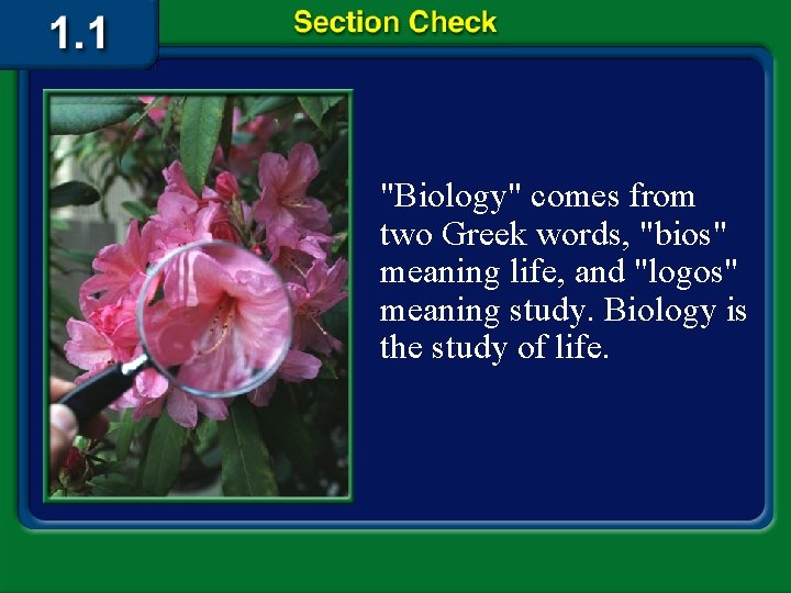 "Biology" comes from two Greek words, "bios" meaning life, and "logos" meaning study. Biology
