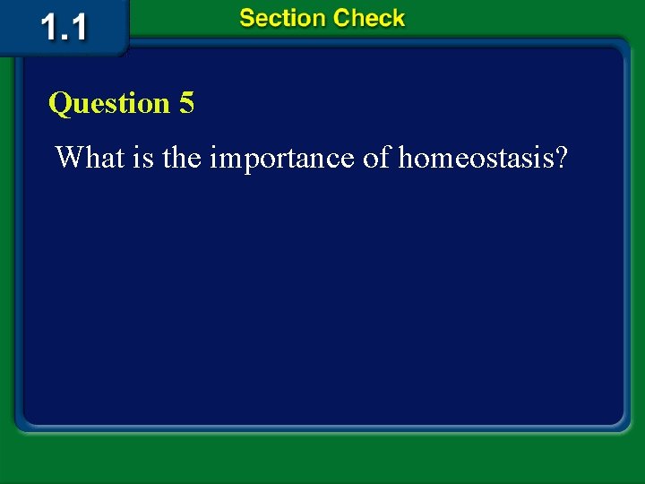 Question 5 What is the importance of homeostasis? 