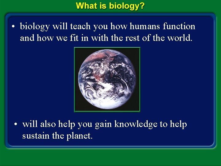  • biology will teach you how humans function and how we fit in