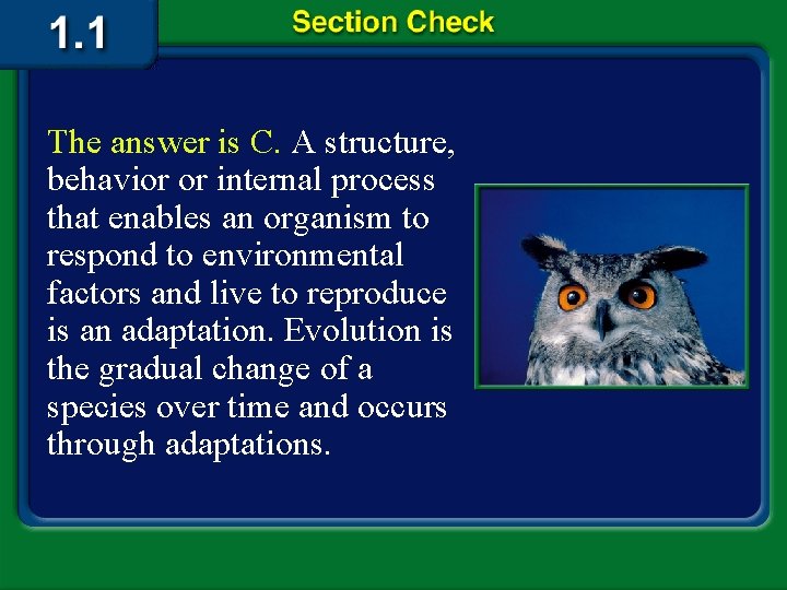 The answer is C. A structure, behavior or internal process that enables an organism