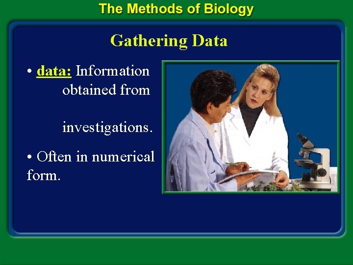 Gathering Data • data: Information obtained from investigations. • Often in numerical form. 