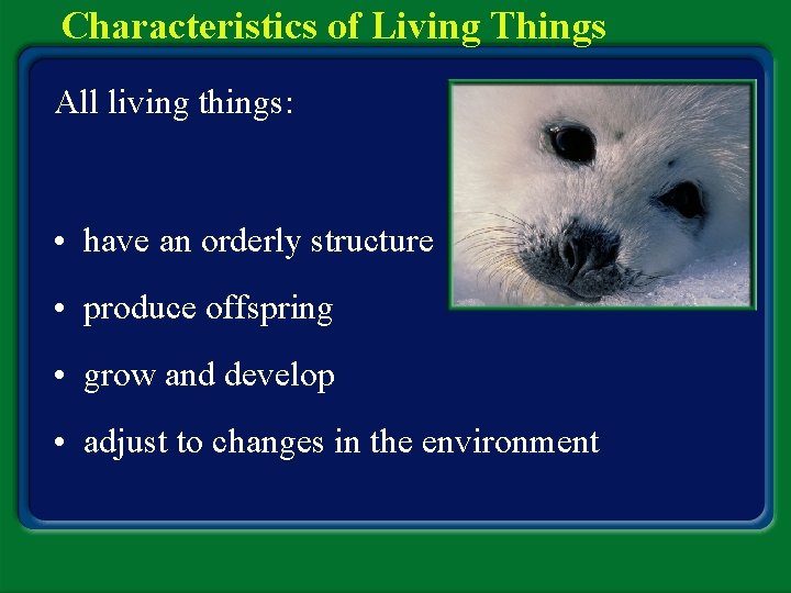Characteristics of Living Things All living things: • have an orderly structure • produce