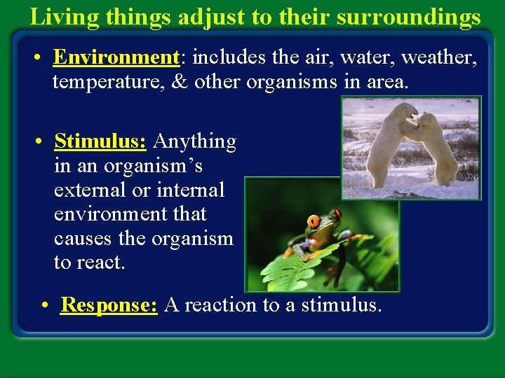 Living things adjust to their surroundings • Environment: includes the air, water, weather, temperature,