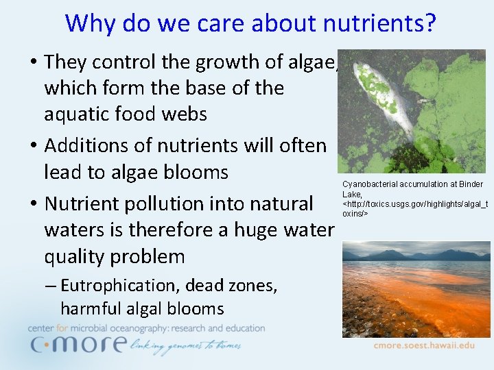 Why do we care about nutrients? • They control the growth of algae, which