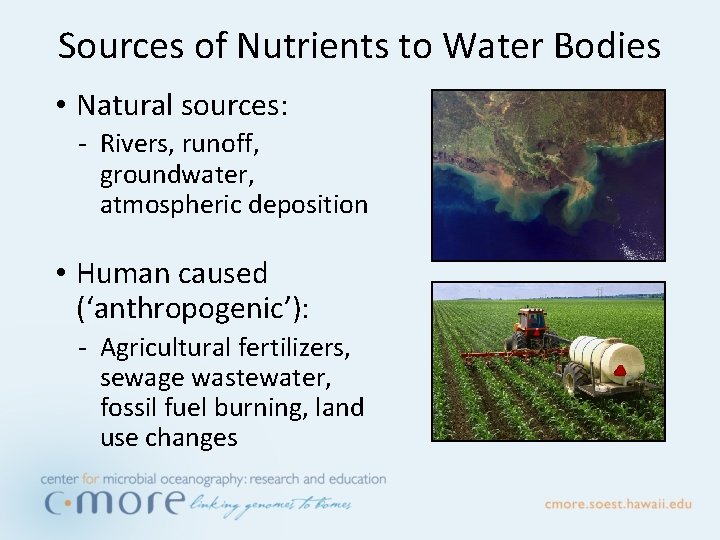 Sources of Nutrients to Water Bodies • Natural sources: - Rivers, runoff, groundwater, atmospheric