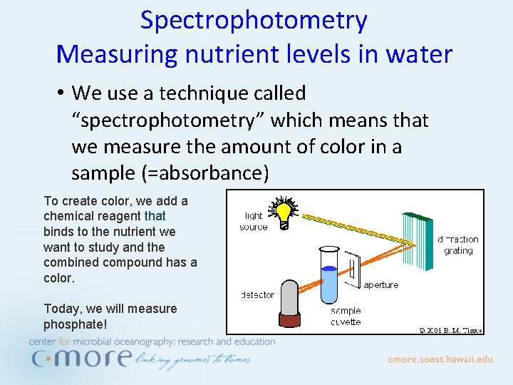 Spectrophotometry Measuring nutrient levels in water • We use a technique called “spectrophotometry” which