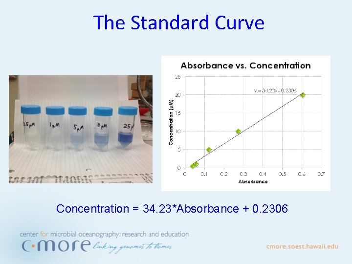 The Standard Curve Concentration = 34. 23*Absorbance + 0. 2306 