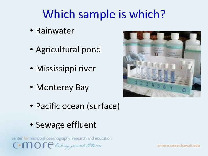 Which sample is which? • Rainwater • Agricultural pond • Mississippi river • Monterey