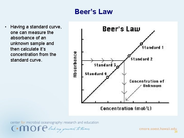 Beer’s Law • Having a standard curve, one can measure the absorbance of an