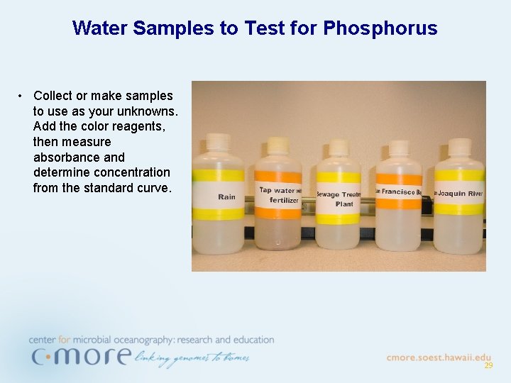 Water Samples to Test for Phosphorus • Collect or make samples to use as
