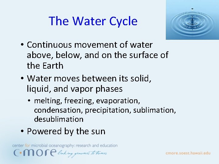The Water Cycle • Continuous movement of water above, below, and on the surface