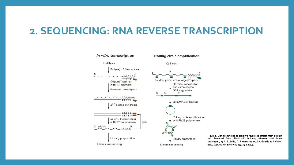 2. SEQUENCING: RNA REVERSE TRANSCRIPTION Figure 7. Existing methods to prepare sequencing libraries from