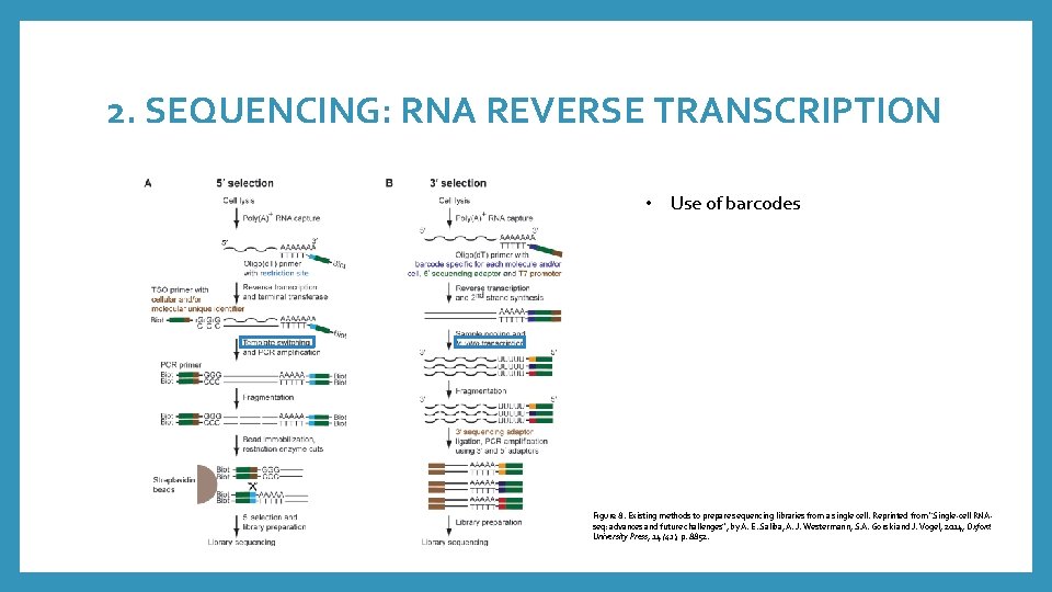 2. SEQUENCING: RNA REVERSE TRANSCRIPTION • Use of barcodes Figure 8. Existing methods to