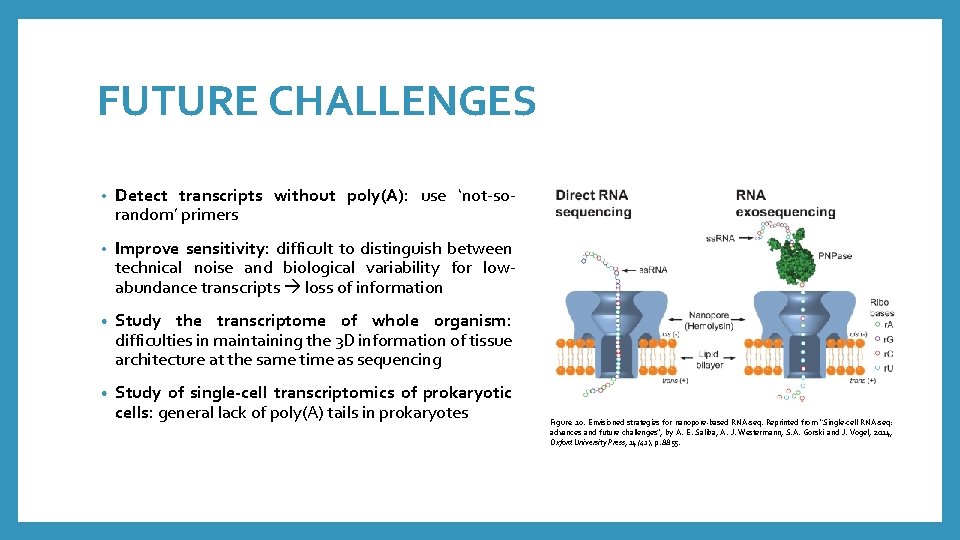 FUTURE CHALLENGES • Detect transcripts without poly(A): use ‘not-sorandom’ primers • Improve sensitivity: difficult