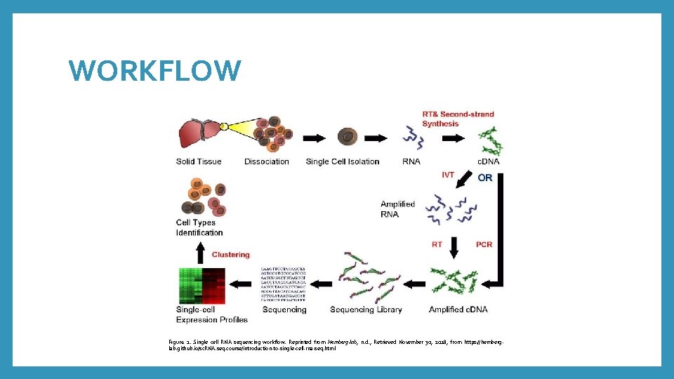 WORKFLOW Figure 2. Single cell RNA sequencing workflow. Reprinted from Hemberg-lab, n. d. ,