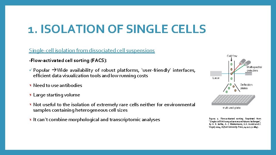 1. ISOLATION OF SINGLE CELLS Single-cell isolation from dissociated cell suspensions -Flow-activated cell sorting