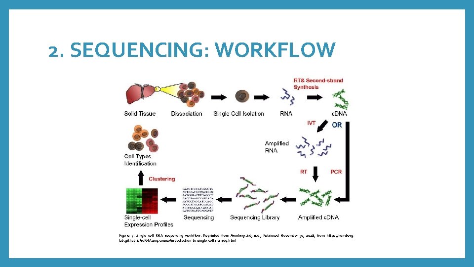 2. SEQUENCING: WORKFLOW Figure 5. Single cell RNA sequencing workflow. Reprinted from Hemberg-lab, n.