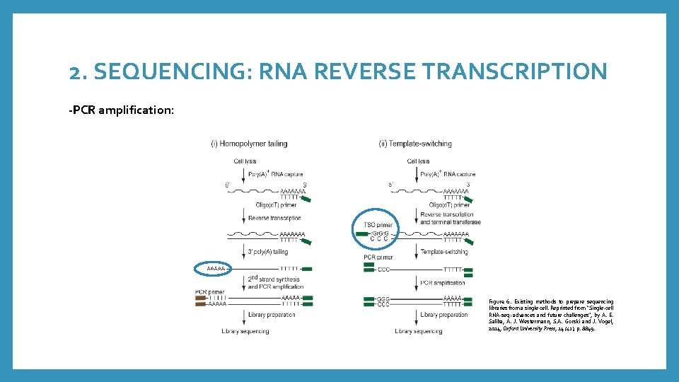 2. SEQUENCING: RNA REVERSE TRANSCRIPTION -PCR amplification: Figure 6. Existing methods to prepare sequencing
