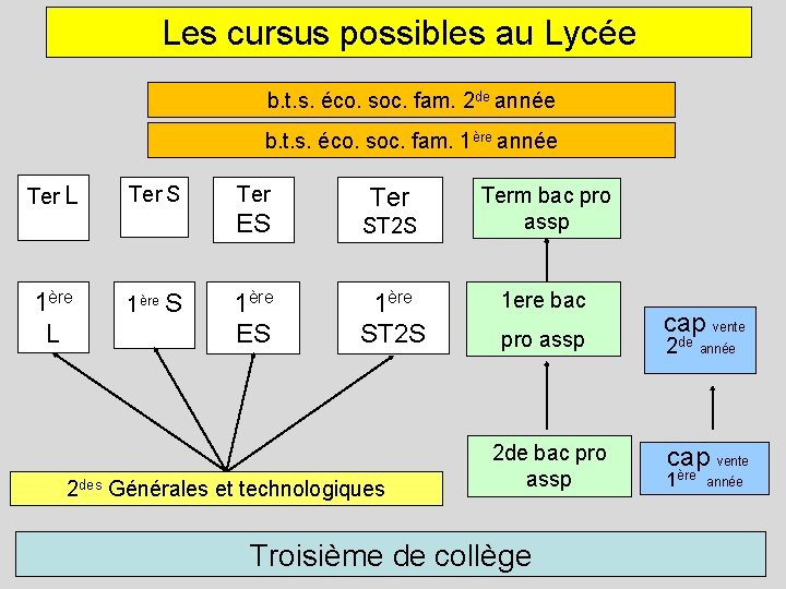 Les cursus possibles au Lycée b. t. s. éco. soc. fam. 2 de année