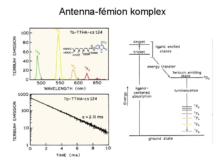 Antenna-fémion komplex 