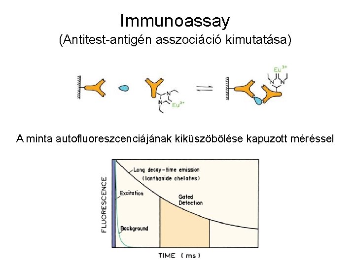 Immunoassay (Antitest-antigén asszociáció kimutatása) A minta autofluoreszcenciájának kiküszöbölése kapuzott méréssel 