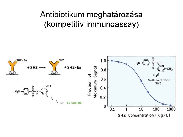 Antibiotikum meghatározása (kompetitív immunoassay) 