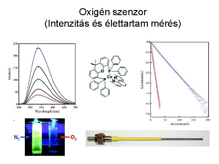 Oxigén szenzor (Intenzitás és élettartam mérés) 