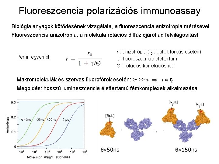 Fluoreszcencia polarizációs immunoassay Biológia anyagok kötődésének vizsgálata, a fluoreszcencia anizotrópia mérésével Fluoreszcencia anizotrópia: a