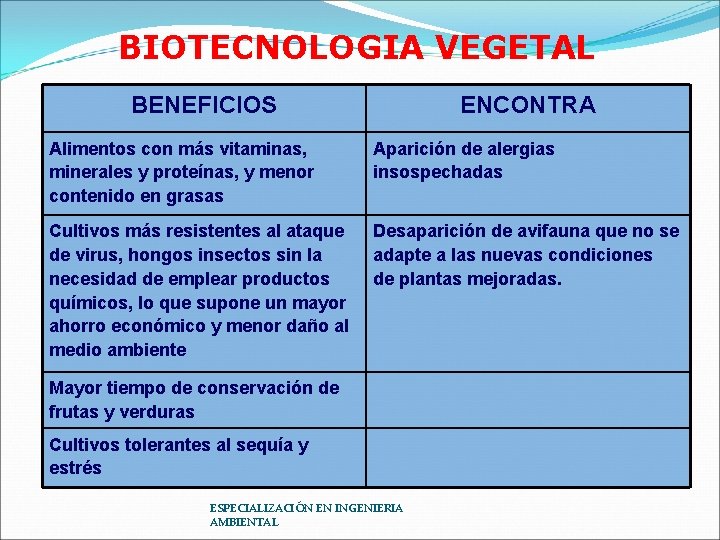 BIOTECNOLOGIA VEGETAL BENEFICIOS ENCONTRA Alimentos con más vitaminas, minerales y proteínas, y menor contenido