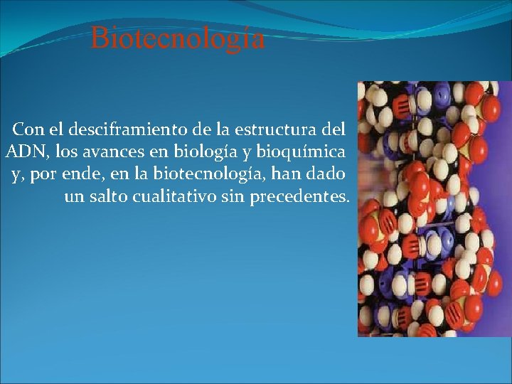 Biotecnología Con el desciframiento de la estructura del ADN, los avances en biología y