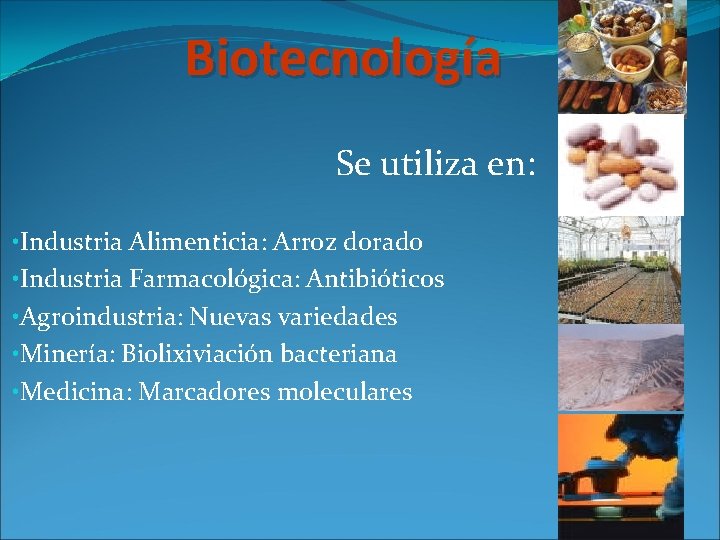 Biotecnología Se utiliza en: • Industria Alimenticia: Arroz dorado • Industria Farmacológica: Antibióticos •