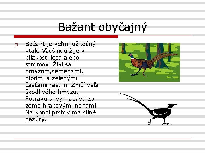 Bažant obyčajný o Bažant je veľmi užitočný vták. Väčšinou žije v blízkosti lesa alebo
