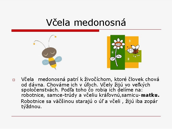 Včela medonosná o Včela medonosná patrí k živočíchom, ktoré človek chová od dávna. Chováme