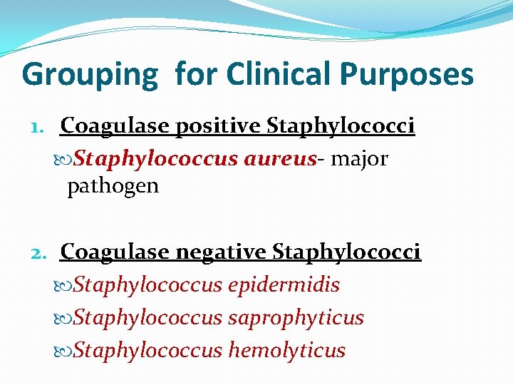 Grouping for Clinical Purposes 1. Coagulase positive Staphylococci Staphylococcus aureus- major pathogen 2. Coagulase