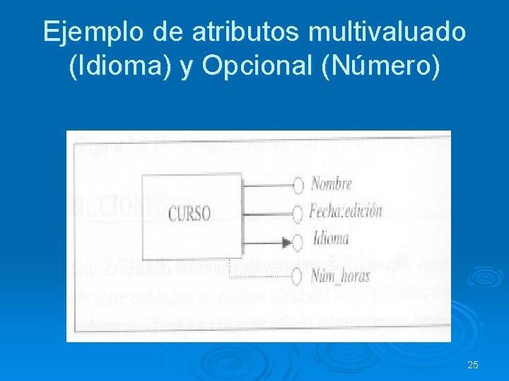 Ejemplo de atributos multivaluado (Idioma) y Opcional (Número) 25 