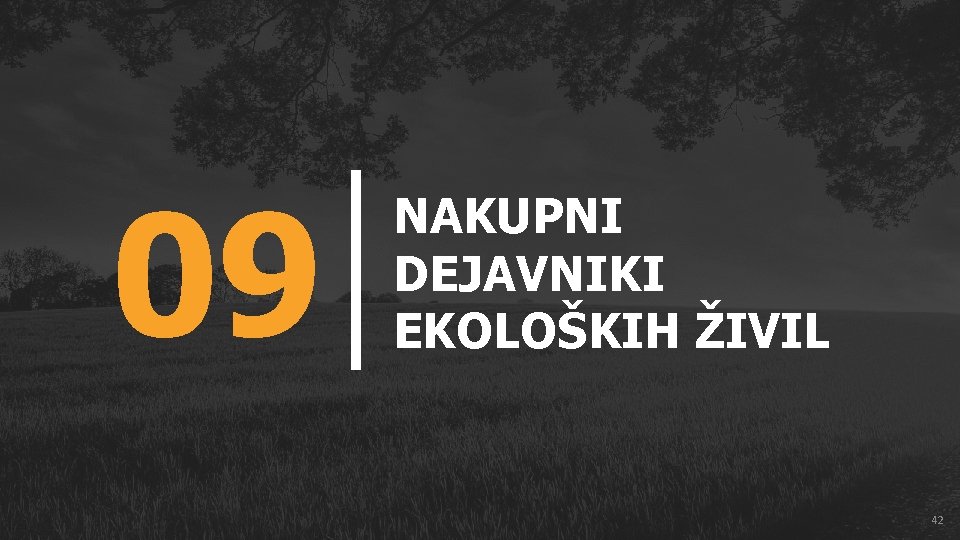 09 NAKUPNI DEJAVNIKI EKOLOŠKIH ŽIVIL 42 