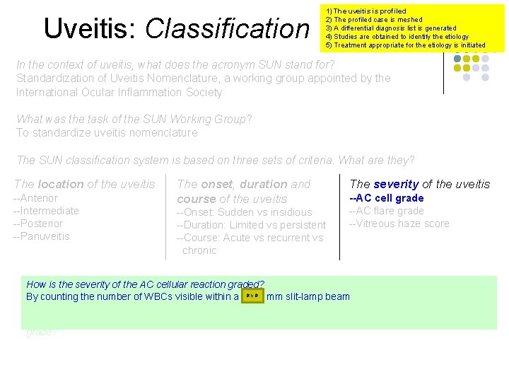 Uveitis: Classification 1) The uveitis is profiled 2) The profiled case is meshed 3)