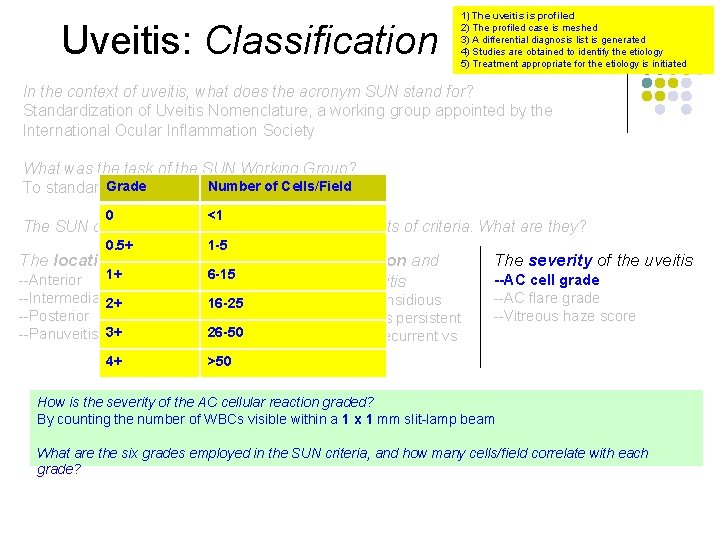 Uveitis: Classification 1) The uveitis is profiled 2) The profiled case is meshed 3)