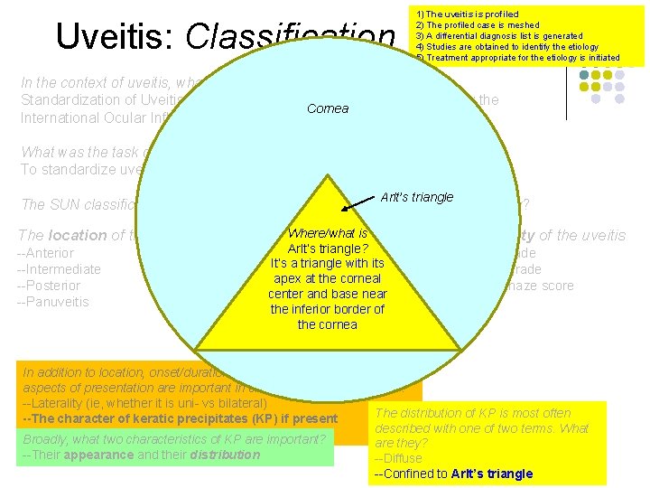 Uveitis: Classification 1) The uveitis is profiled 2) The profiled case is meshed 3)